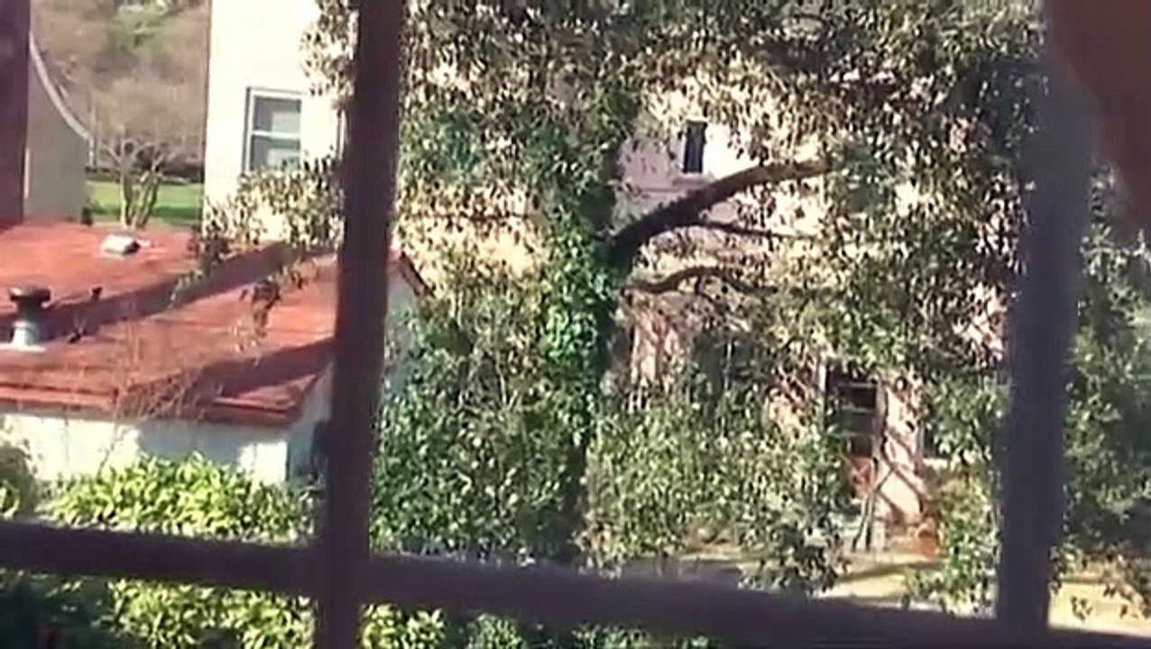 A Haunting - Se4 - Ep08 - Echoes of the Past HD Watch HD Deutsch