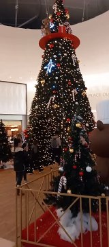 Christmas Decoration in Grenoble Noël en France #Noël #noel #christmas2022 #christmasdecor #decoration #christmas #france (3)