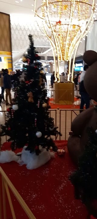 Christmas Decoration in Grenoble  Noël   en France #Noël #noel #christmas2022 #christmasdecor #decoration #christmas #france (4)