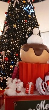 Christmas Decoration in Grenoble Noël en France #Noël #noel #christmas2022 #christmasdecor #decoration #christmas #france (5)