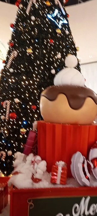 Christmas Decoration in Grenoble  Noël   en France #Noël #noel #christmas2022 #christmasdecor #decoration #christmas #france (5)