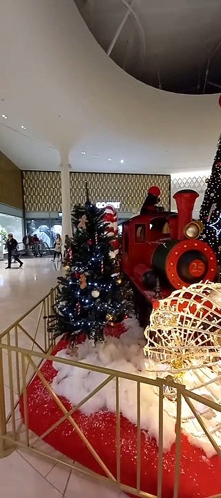 Christmas Decoration in Grenoble  Noël   en France #Noël #noel #christmas2022 #christmasdecor #decoration #christmas #france (7)