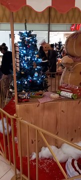 Christmas Decoration in Grenoble Noël en France #Noël #noel #christmas2022 #christmasdecor #decoration #christmas #france (10)