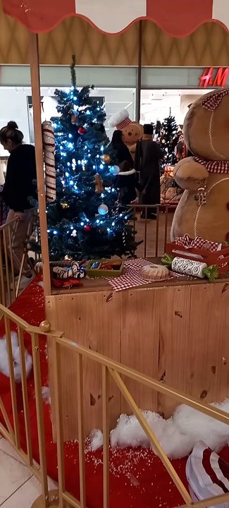 Christmas Decoration in Grenoble  Noël   en France #Noël #noel #christmas2022 #christmasdecor #decoration #christmas #france (10)