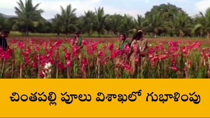 చింతపల్లి: పూల సాగు రైతులకు శుభవార్త.. ఇకనుంచి..