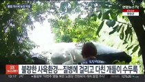 도살·경매거래…불법 개 사육농장 11곳 적발