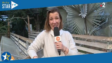 "J’y suis allée au culot" : Julie Poirier, la journaliste de Télématin se confie sur les débuts de s