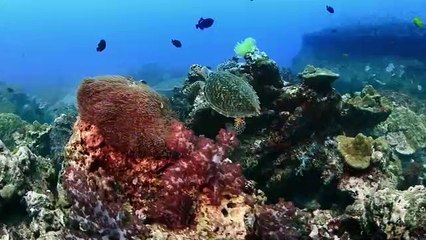 Super Senses - Se1 - Ep04 HD Watch HD Deutsch