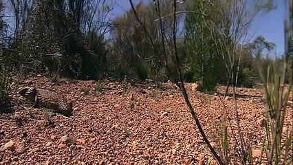 Super Senses - Se1 - Ep07 HD Watch HD Deutsch