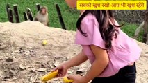 Aadhyashree Feeding to a Group of Monkeys