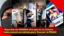 ¡Diputada de MORENA dice que en la Cámara había escorts en nómina para 'favorcitos' al PRIAN!