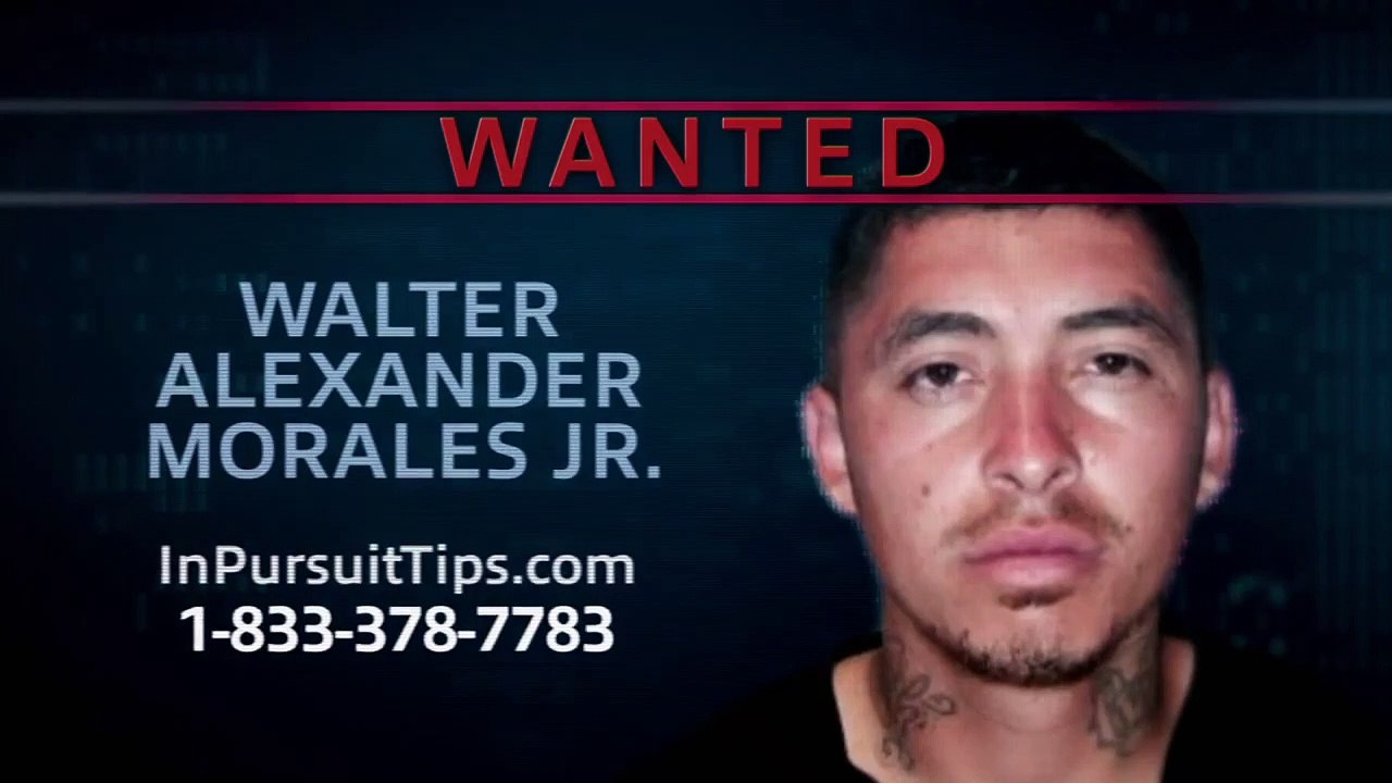 In Pursuit With John Walsh - Se2 - Ep10 - Fall From Grace HD Watch HD Deutsch