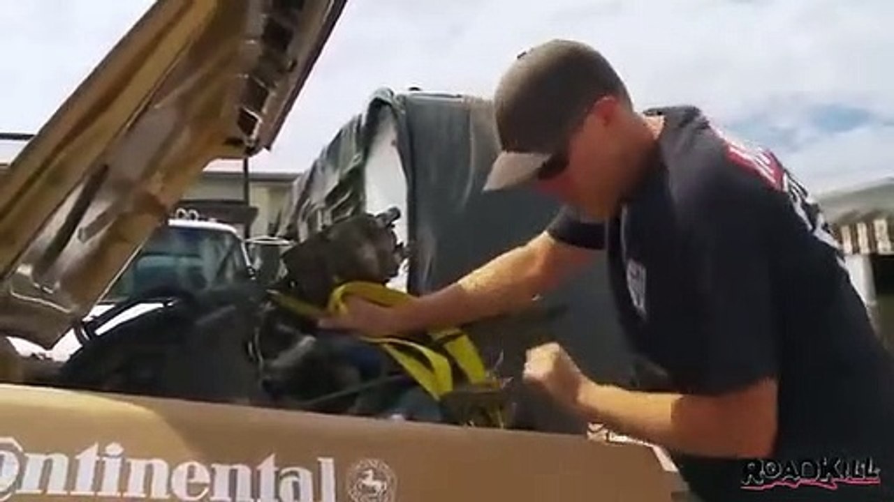 Roadkill - Se1 - Ep60 HD Watch HD Deutsch