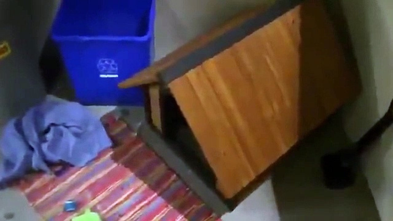 R.L. Stine's The Haunting Hour - Se3 - Ep24 - Bad Egg HD Watch HD Deutsch