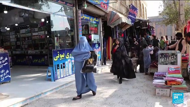 Plusieurs organisations étrangères ont suspendu leurs activités en Afghanistan après l'interdiction faite aux ONG de travailler avec des femmes - VIDEO