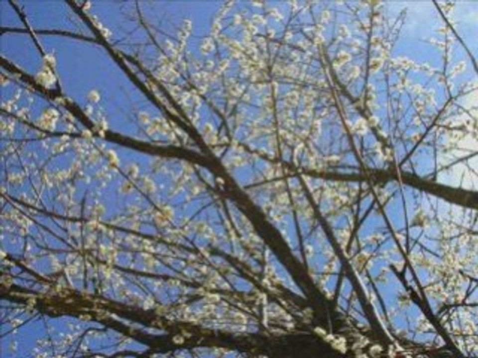28.03.2008
