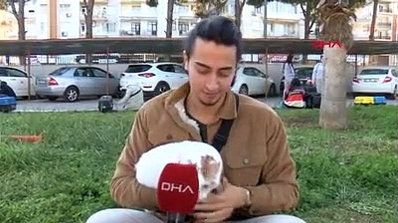 Evcil hayvan sahipleri için son günler; tarım müdürlüklerinde uzun kuyruklar oluştu