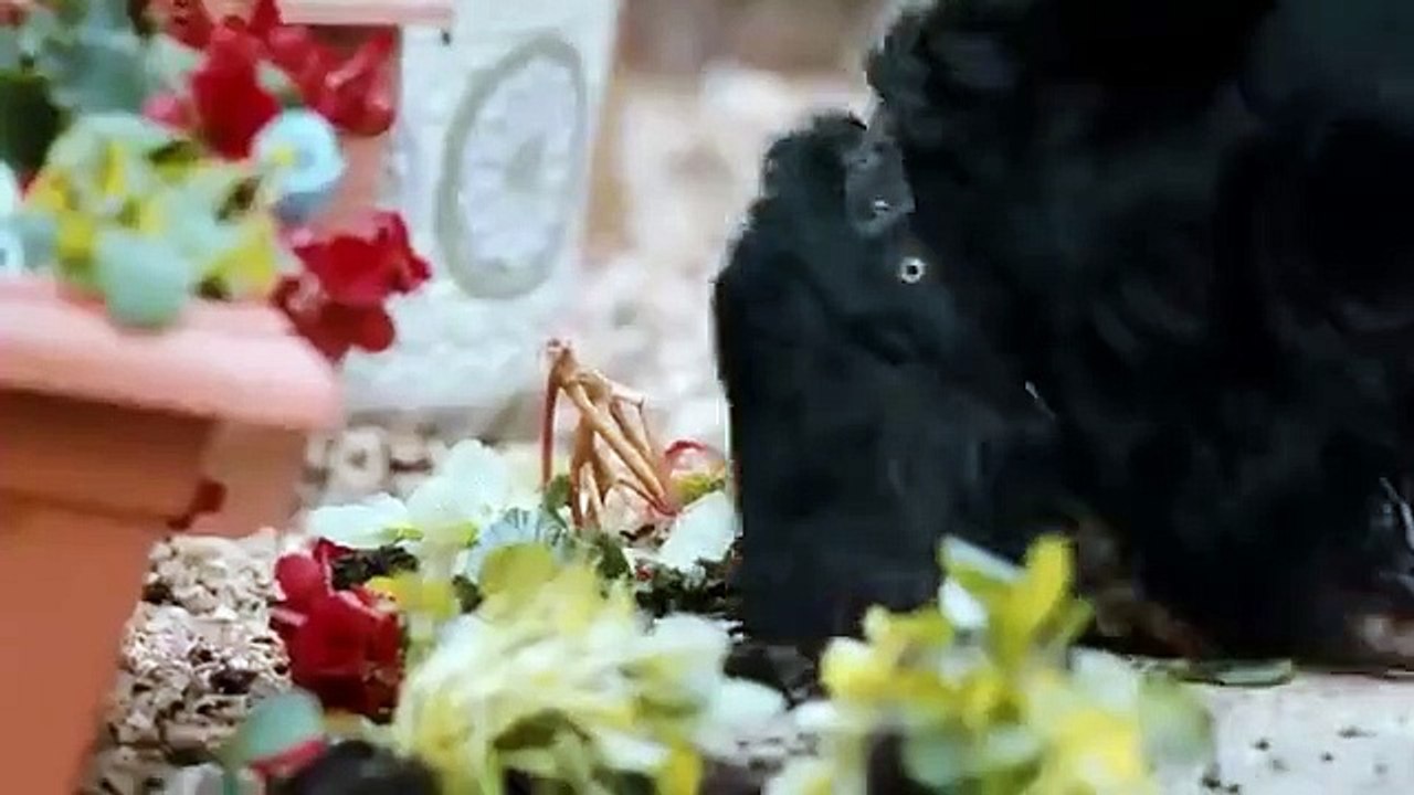 Web of Lies - Se6 - Ep04 - Exposed HD Watch HD Deutsch