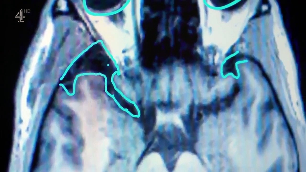 What Makes A Mur-'derer - Se1 - Ep02 HD Watch HD Deutsch