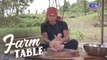 Farm to Table’s favorite duck turns into a savory adobo! | Farm To Table