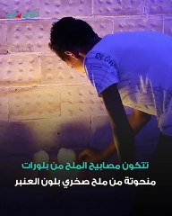 هل مصابيح الملح تخلصك من القلق والتوتر؟