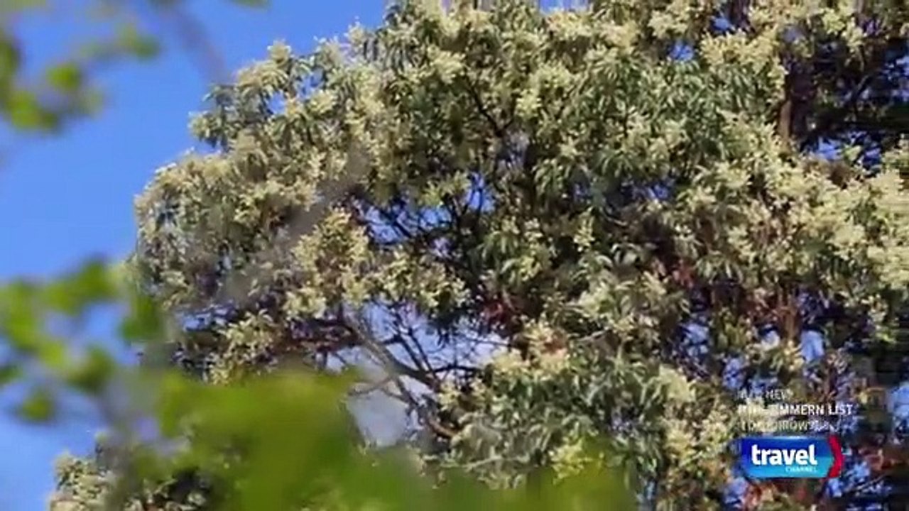 Booze Traveler - Se4 - Ep16 - Wet And Wild Pacific Northwest HD Watch HD Deutsch