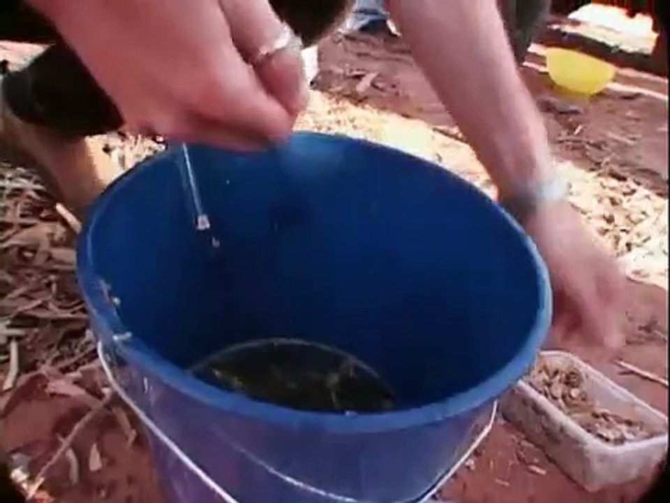 Anthony Bourdain's a Cook's Tour - Se2 - Ep07 - The BBQ Triangle HD Watch HD Deutsch