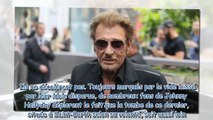 Johnny Hallyday - en colère contre sa dernière volonté, certains de ses fans proposent une solution