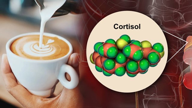 सुबह खाली पेट कॉफी पीने से क्या होता है | सुबह खाली पेट कॉफी पीने के नुकसान | Boldsky
