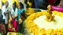 కుక్కకి ఘనంగా మొదటి బర్తడే *Telangana  Dog Birthday celebrations