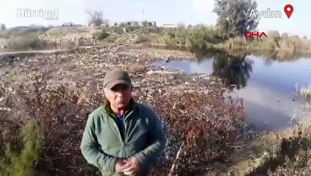 Büyük Menderes Nehri çöplüğe döndü... Suyun rengi siyaha büründü