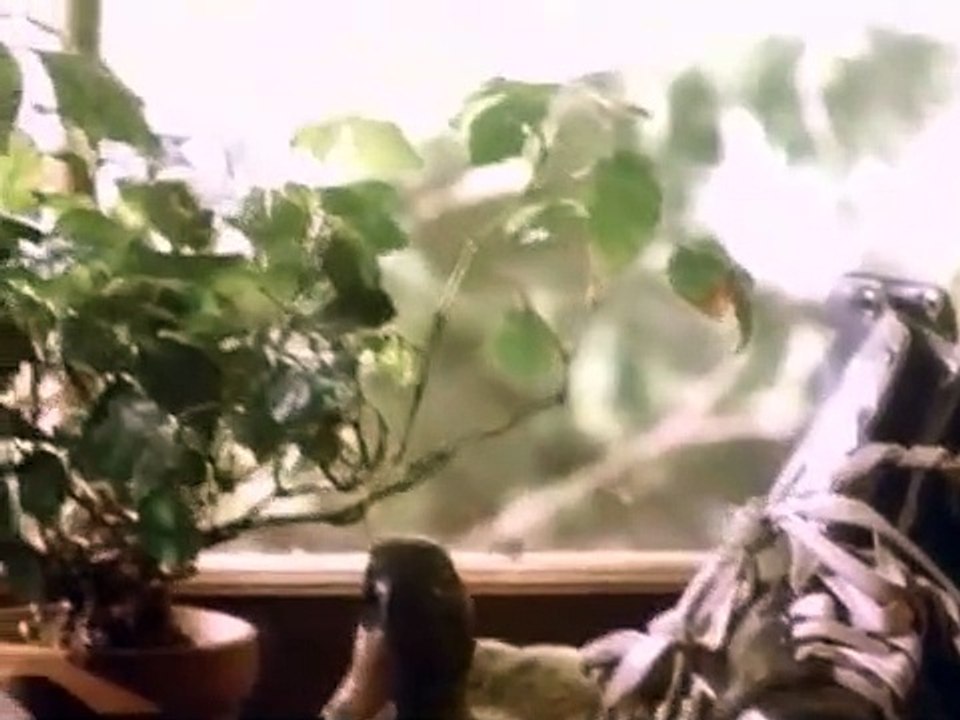 Coach - Se4 - Ep18 HD Watch HD Deutsch