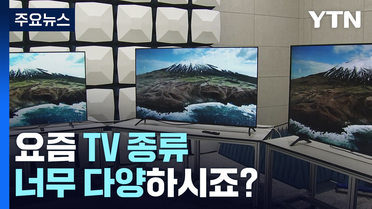 성능 따라 가격 차이 5.7배...내게 맞는 TV 고르려면 / YTN