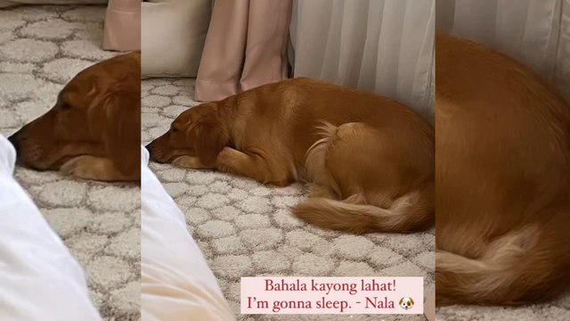 Omg! Ruffa Gutierrez namiss si Yilmaz Bektas ngayong pasko! At nagpost ng video nila! Latest Update