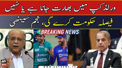 Govt will decide whether to go to India or not in World Cup says, Najam Sethi