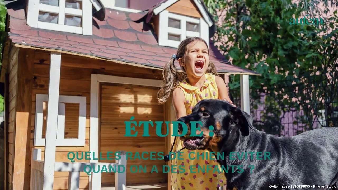 Quelles races de chien éviter quand on a des enfants ?