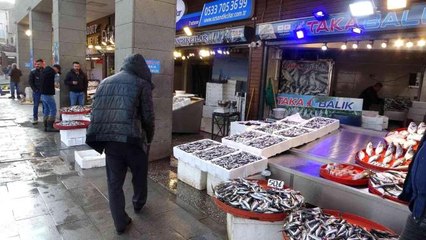 Hamsi sezonun en yüksek fiyatını gördü