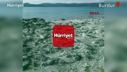 'Salda Gölü kumsalındaki kararma yayılıyor'