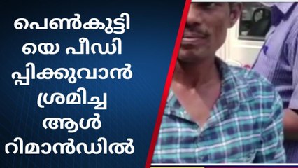 അഞ്ചലിൽ പെൺകുട്ടിയെ പീഡിപ്പിക്കുവാൻ ശ്രമിച്ച ആൾ റിമാൻഡിൽ