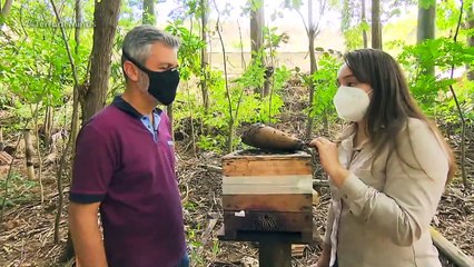 Terra de Minas mostra projeto em que se planta árvore e brota nascente