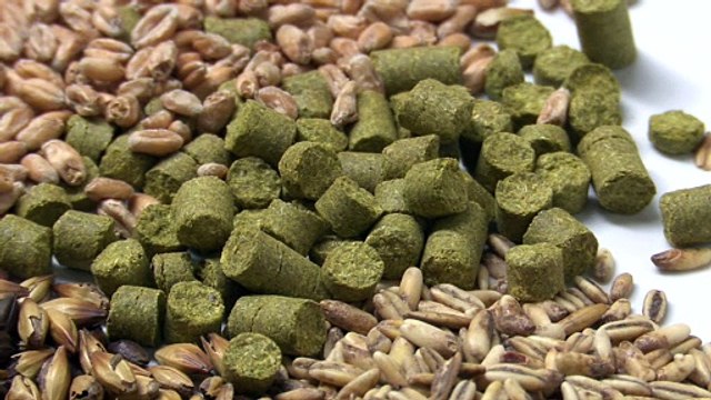 La cerveza artesana de Valladolid se abre paso con una producción anual superior a 200.000 litros