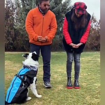 Hande Fırat'tan başıboş köpeklerin saldırısından kurtulma rehberi!