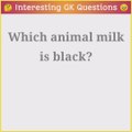 Interesting GK Questions and Answers | GK Questions #gk