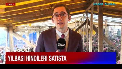 Yılbaşı hindileri satışta: Peki güncel hindi fiyatları ne kadar?