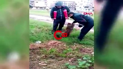 Çukura düşen köpeği itfaiye kurtardı