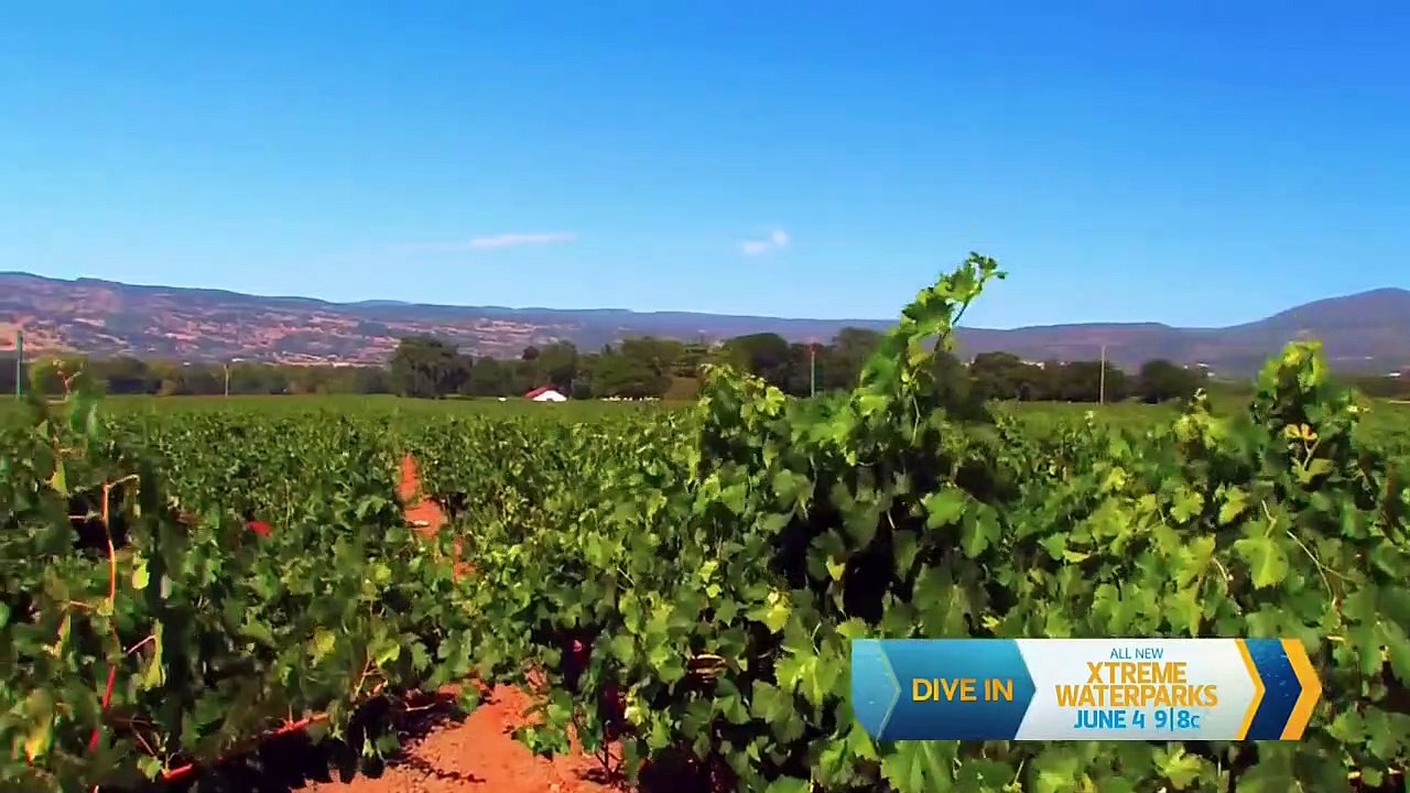 Mysteries at the Museum - Se13 - Ep0 Special - Blast From The Past HD Watch