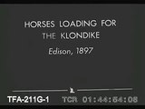 Horses Loading For The Klondike, 1897