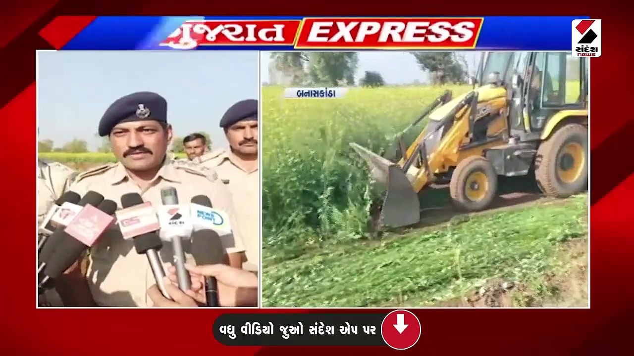 રાજ્યમાં ટેકાના ભાવે મકાઈની ખરીદી