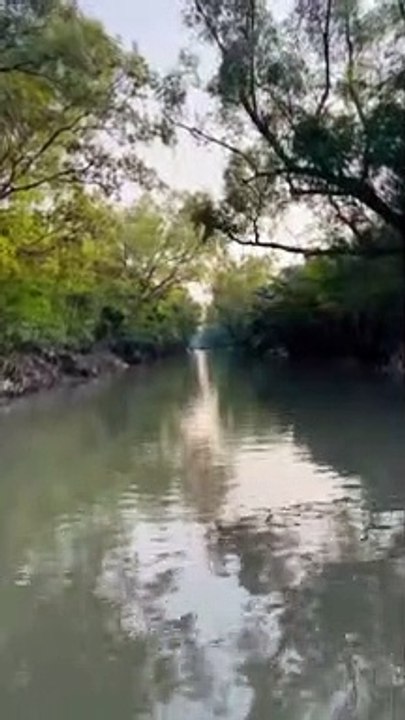 Sundarban