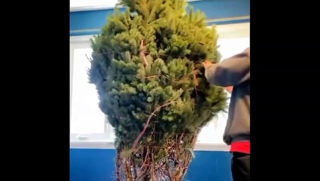 हसी नहीं रोक पाओगे